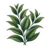Teebaum icon